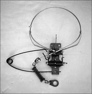 buy Collarum� Stainless Steel Humane Coyote Animal Snare